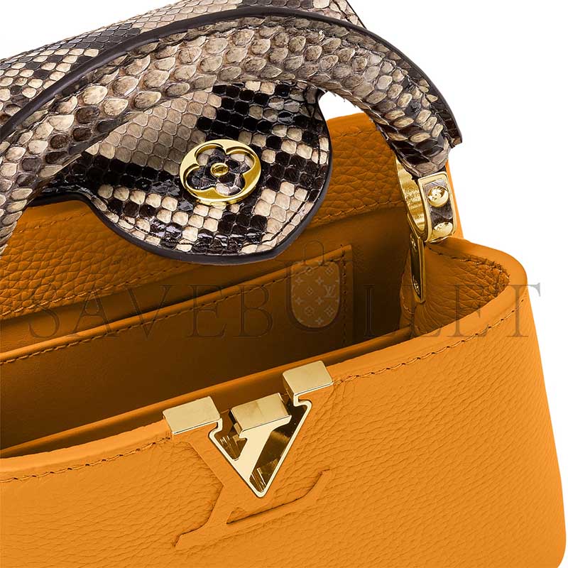 LOUIS VUITTON CAPUCINES MINI N81410 (21*14*6cm) 